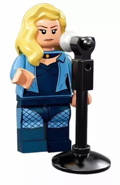 Minifigures 71020-19 Чёрная канарейка