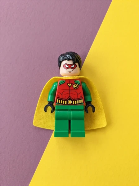 Magazine Gifts 211902 Robin