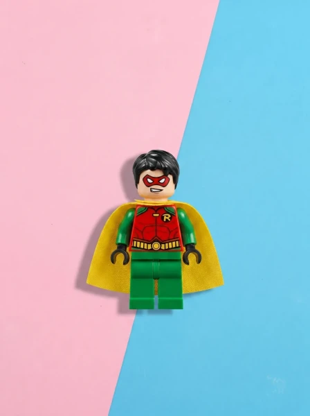 Magazine Gifts 211902 Robin