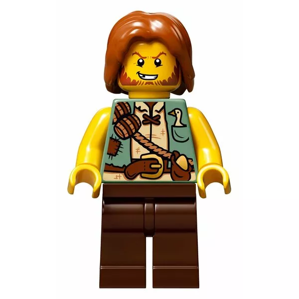 Ideas 21315 Набор LEGO Ideas 21315 «Раскрывающаяся книга» (Фото 4)