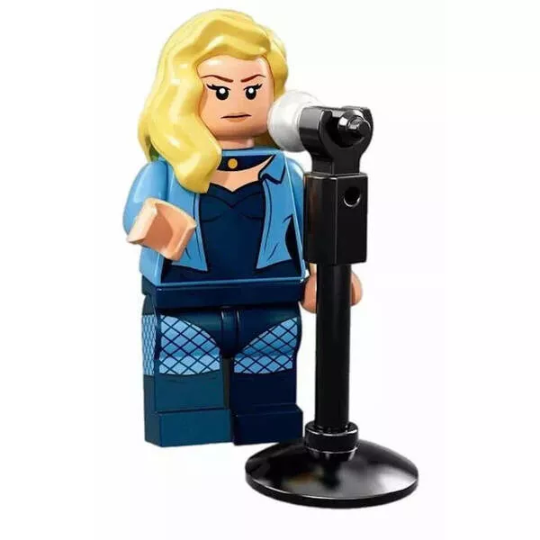 Minifigures 71020-19 Чёрная канарейка (Фото 1)