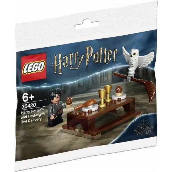 Полибэги LEGO 30420 Гарри Поттер и Букля: Посылка с метлой